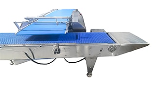 Máquina de colocación automática en bandejas